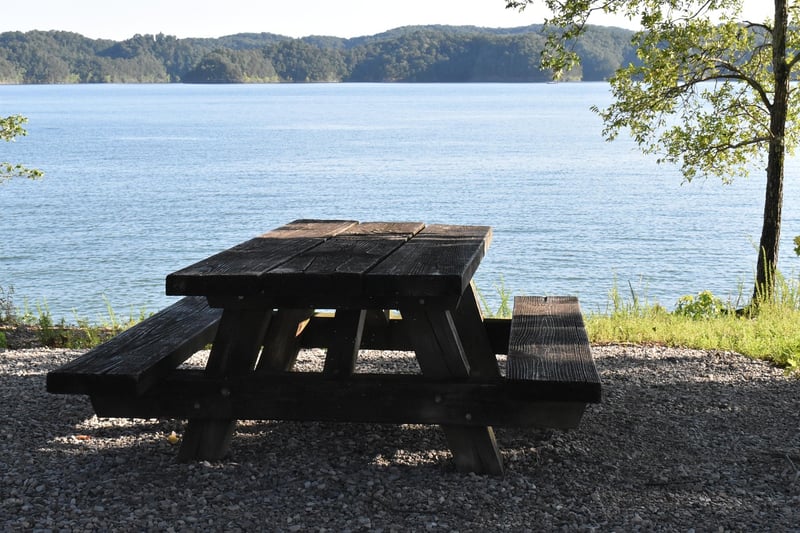 Outdoor Picnic